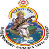 बनारस हिंदू विश्वविद्यालय, वाराणसी – Banaras Hindu University BHU – 01 युवा पेशेवर (Young Professional )पोस्ट