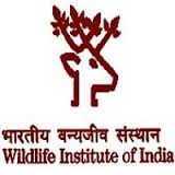 भारतीय वन्यजीव संस्थान – Wildlife Institute of India WII – 78 प्रोजेक्ट एसोसिएट- I, तकनीकी सहायक,अनुसंधान सहायक Project Associate-I, Technical Assistant, Research Assistantऔर अन्य पद