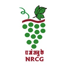 राष्ट्रीय अंगूर अनुसंधान केंद्र (NRCG), National Grape Research Center (NRCG) – 04 सीनियर रिसर्च फेलो (SRF), युवा पेशेवर – II (Senior Research Fellow (SRF), Young Professional – II) पोस्ट