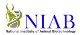 राष्ट्रीय पशु जैव प्रौद्योगिकी संस्थान NIAB – National Institute of Animal Biotechnology – 02 युवा पेशेवर Young Professional पोस्ट