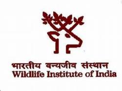 भारतीय वन्यजीव संस्थान (WII) Wildlife Institute of India – 04 प्रोजेक्ट साइंटिस्ट II, प्रिंसिपल प्रोजेक्ट एसोसिएट, प्रोजेक्ट एसोसिएट I Project Scientist II, Principal Project Associate, Project Associate Iपोस्ट